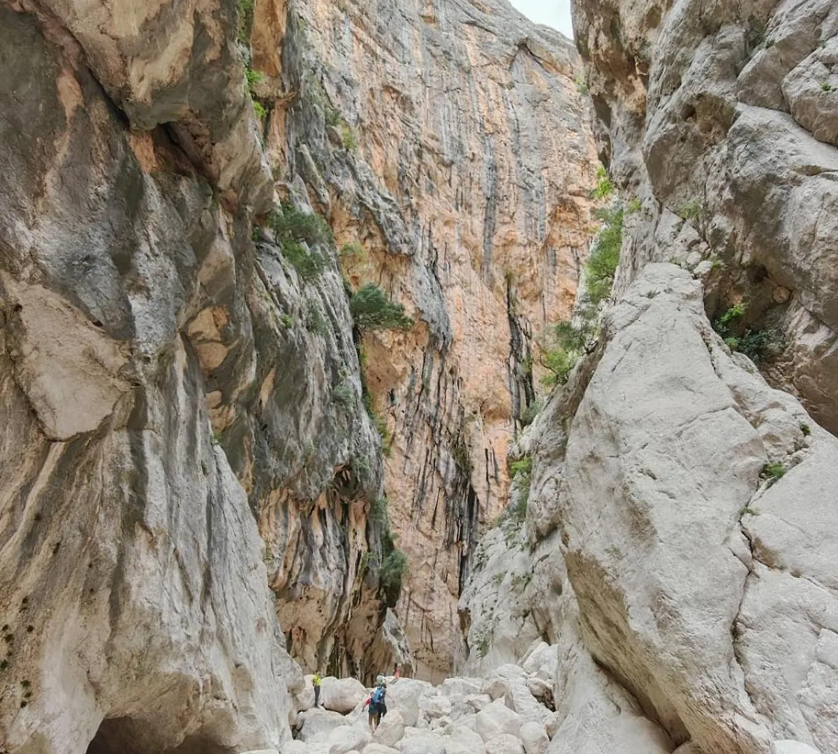 Casa Ortensia Tortolì 0*,