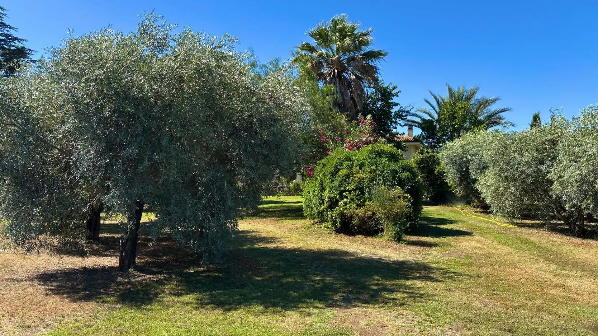 Casa Ortensia トルトリ 0*,  イタリア